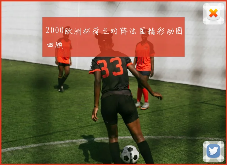 2000欧洲杯荷兰对阵法国精彩动图回顾