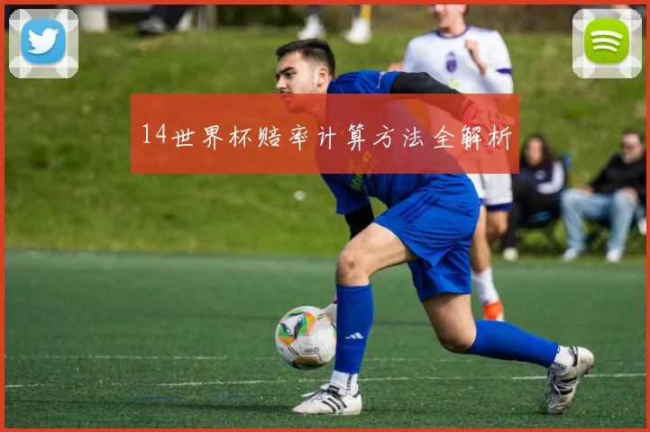 14世界杯赔率计算方法全解析